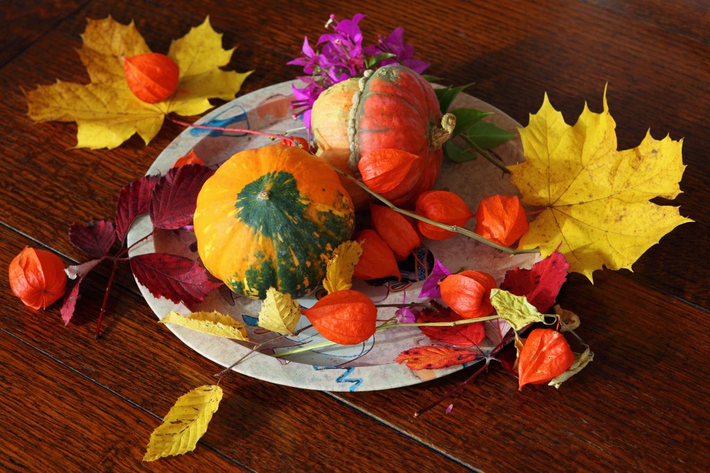 IMG_2987 dpp.JPG - Nachtrag vom 8.11.09: So sah die fertige Herbstdeko dann aus. Schick, nicht?